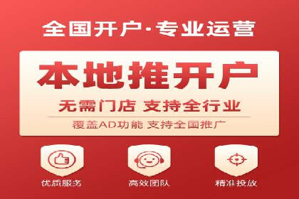 SEO百度推广策略：成功案例解析